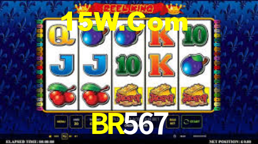 Programa VIP BR567