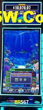 Live Casino BR567