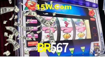 Sistemas de Segurança BR567